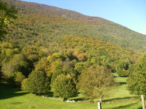 Le mont Sacon à l'automne.jpg